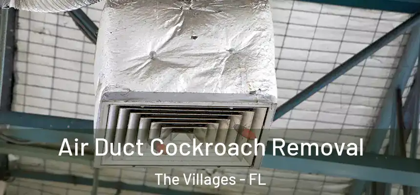 Air Duct Cockroach Removal The Villages - FL
