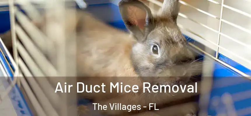 Air Duct Mice Removal The Villages - FL