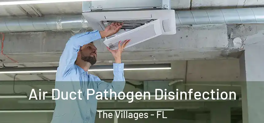  Air Duct Pathogen Disinfection The Villages - FL