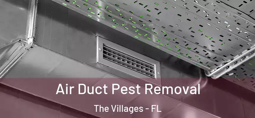  Air Duct Pest Removal The Villages - FL