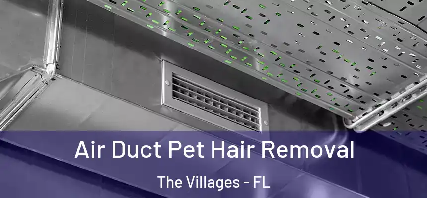  Air Duct Pet Hair Removal The Villages - FL