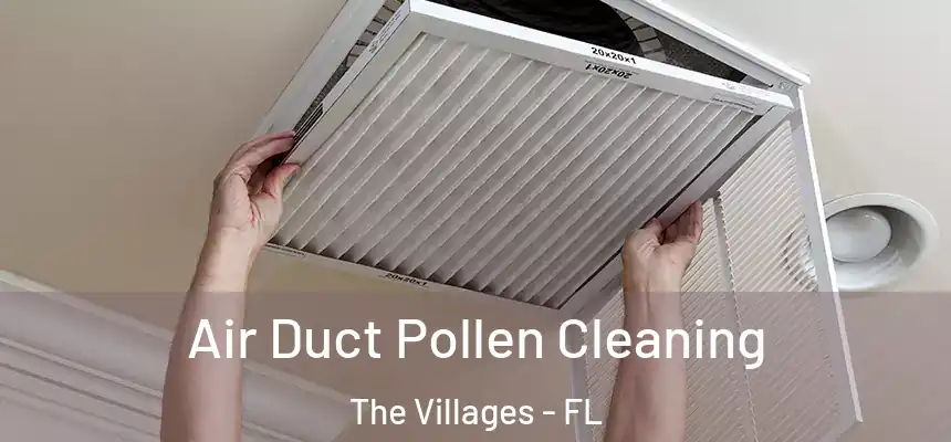  Air Duct Pollen Cleaning The Villages - FL