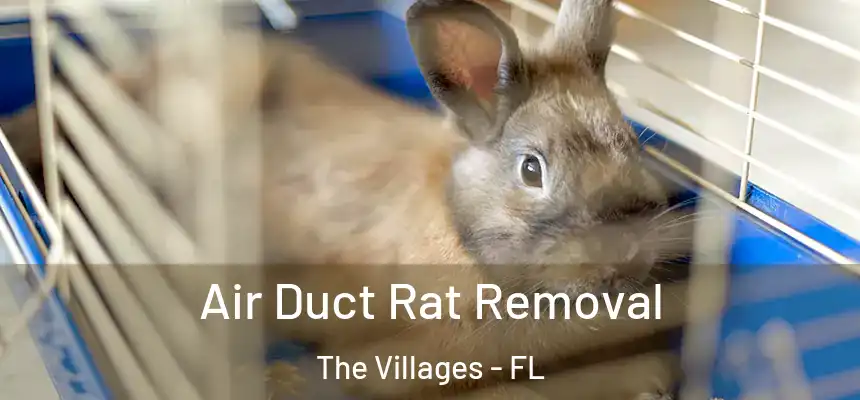  Air Duct Rat Removal The Villages - FL