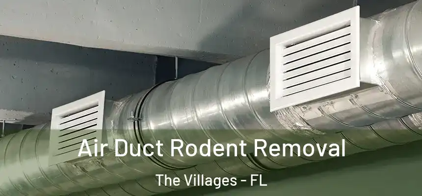  Air Duct Rodent Removal The Villages - FL