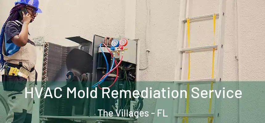  HVAC Mold Remediation Service The Villages - FL
