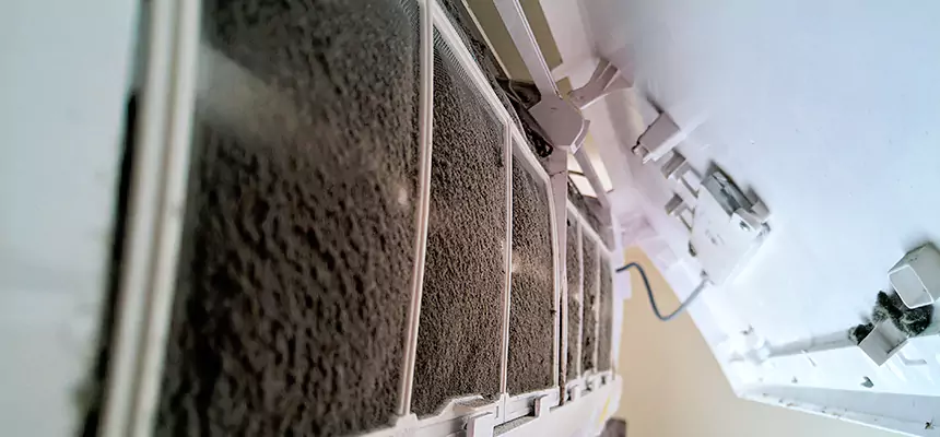 Preventive Air Duct Bacteria Removal in The Villages