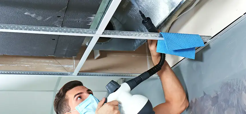 Our Air Duct Rodent Removal Services in The Villages, FL