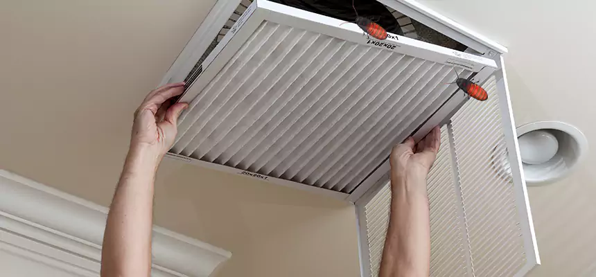 Our Insect Removal from Air Ducts Services in The Villages, FL