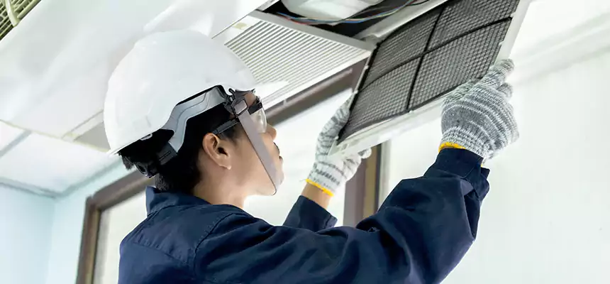 Our Mold & Mildew Removal from Air Ducts Services in The Villages, FL