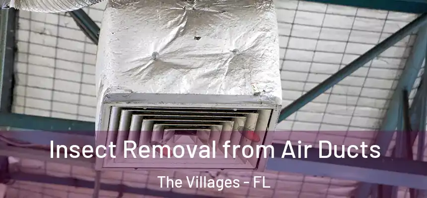  Insect Removal from Air Ducts The Villages - FL