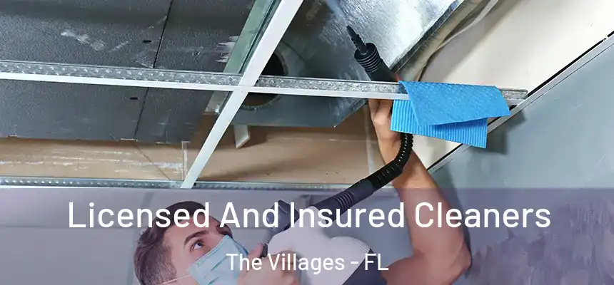 Licensed And Insured Cleaners The Villages - FL