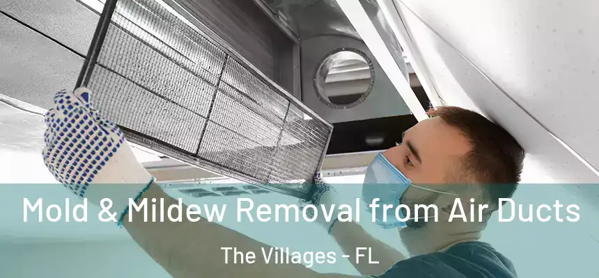 Mold & Mildew Removal from Air Ducts The Villages - FL