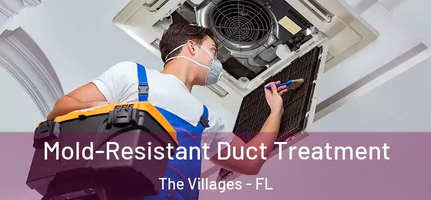  Mold-Resistant Duct Treatment The Villages - FL