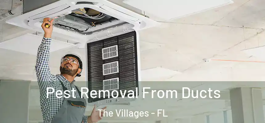 Pest Removal From Ducts The Villages - FL