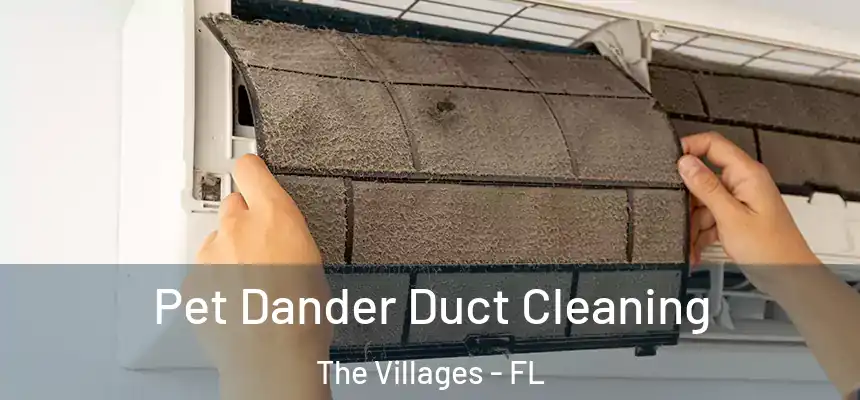 Pet Dander Duct Cleaning The Villages - FL