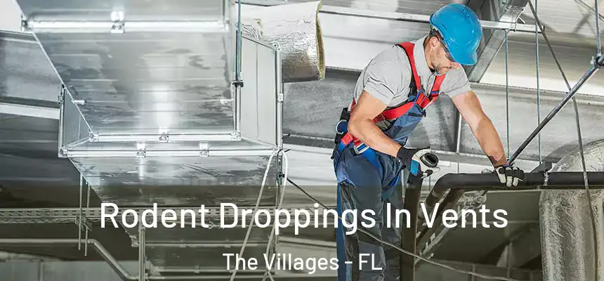 Rodent Droppings In Vents The Villages - FL
