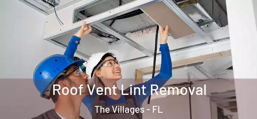 Roof Vent Lint Removal The Villages - FL