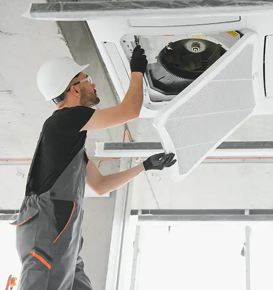 About Air Duct Rodent Removal in The Villages, FL