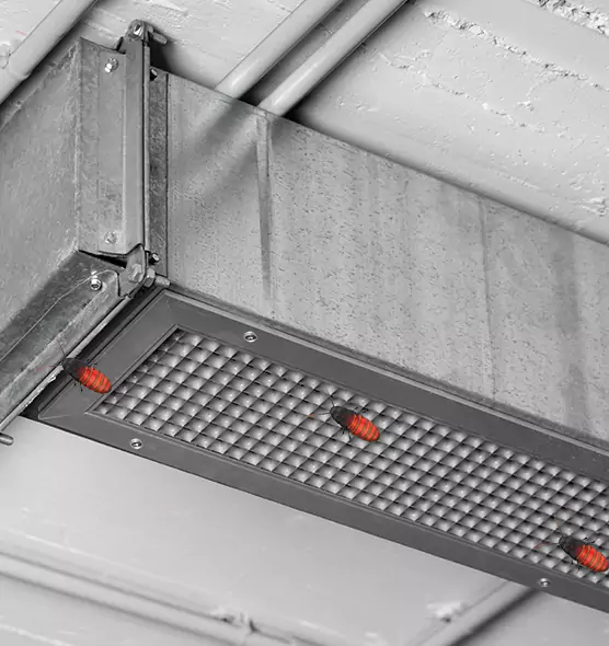 Affordable Insect Removal from Air Ducts in The Villages, FL