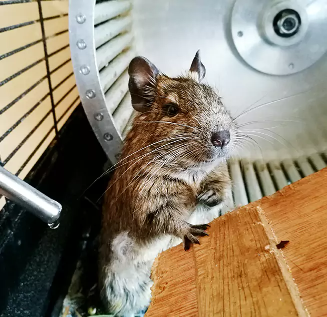 Why Homeowners & Businesses Trust Us The Villages, FL